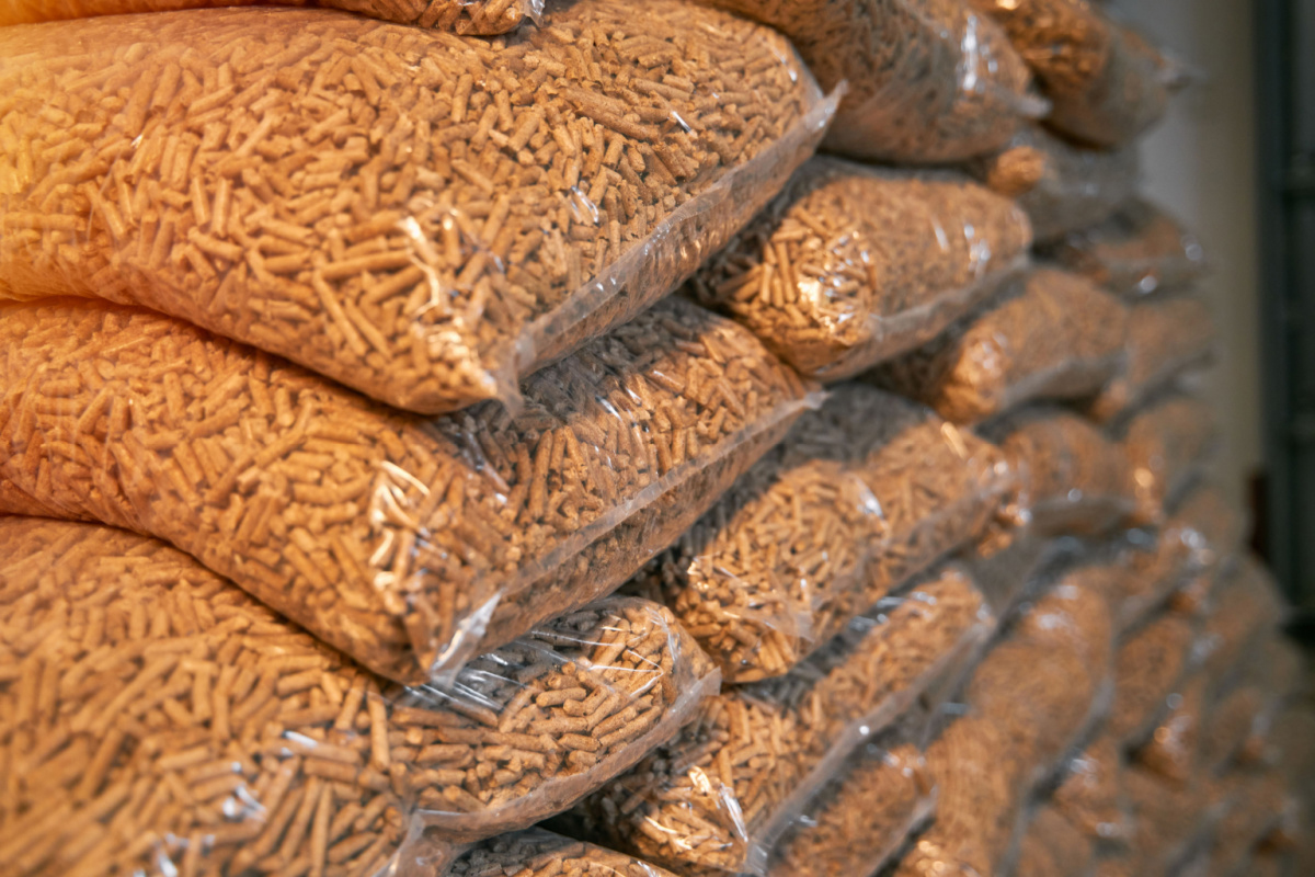 image_2025-09-22_181008536